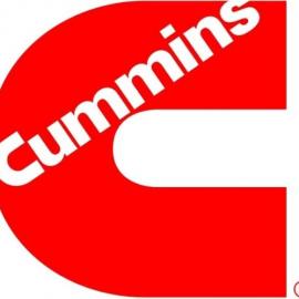 Cummins Sea Water Pump 5493046